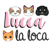 Las aventuras de Lucca la loca – Blog sobre perros y gatos
